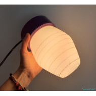 Purple ceiling lamp