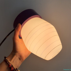 Purple ceiling lamp